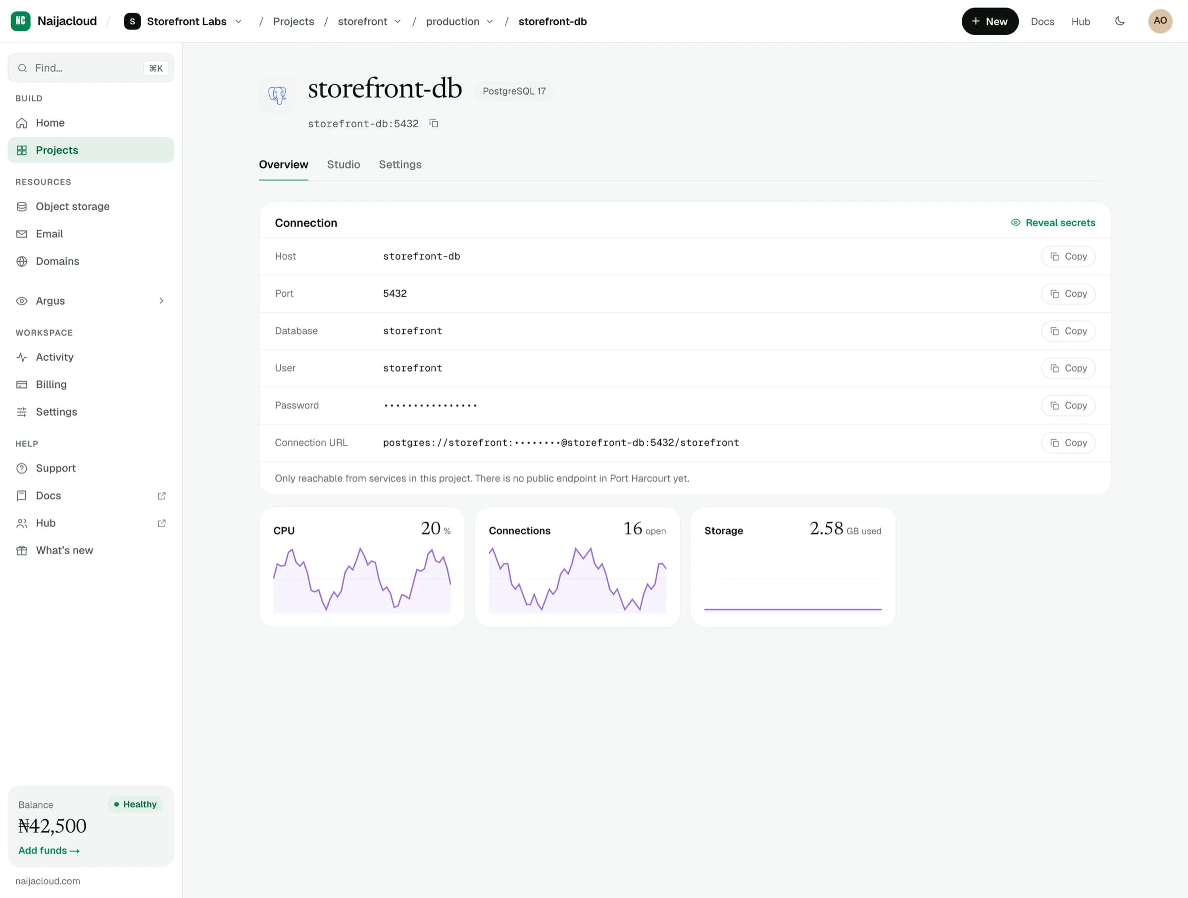 A database overview showing its engine, its connection details, and charts for CPU, open connections and storage used
