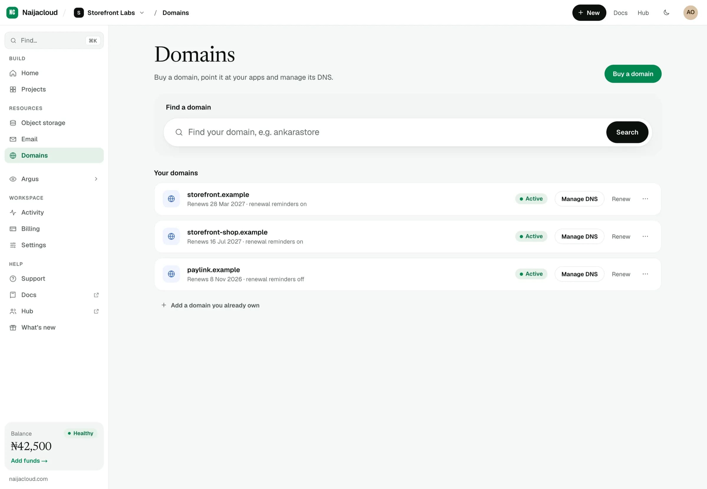 The domains page listing registered domains with their renewal dates, status and Manage DNS actions